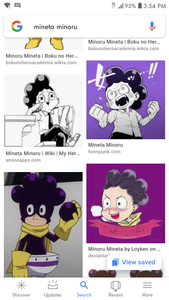 Why Mineta?