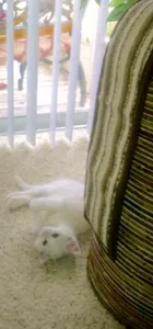 Maxdatlitmix2505's Photo Maxdatlitmix2505's Photo