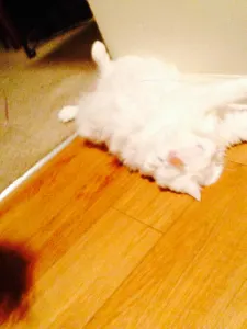 Maxdatlitmix2505's Photo Maxdatlitmix2505's Photo