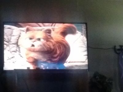 I'm watching Garfield the movie