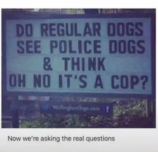 TinyGoat's Photo TinyGoat's Photo