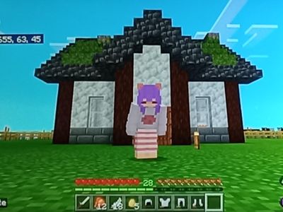 Me and my little house