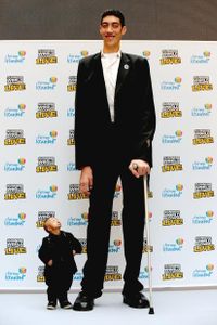 Le worlds tallest man 8"3 X3