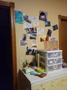 BlueTheQuizWhiz97's Photo BlueTheQuizWhiz97's Photo