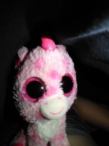 I finally found my unicorn sruffie