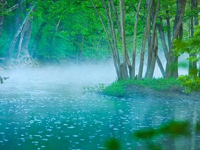 And this part of the creek. Id only been there a few times but it was beautiful.