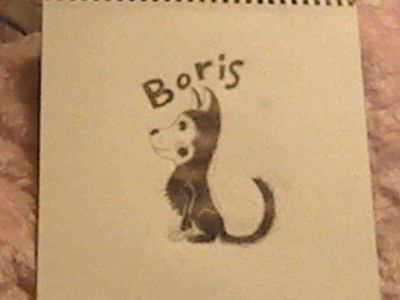 BorisFan