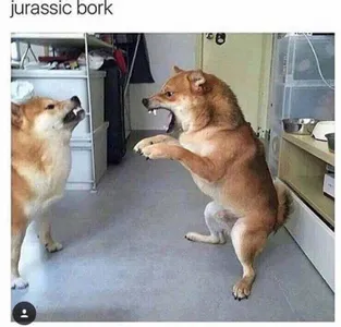 All_hail_Melon_King's Photo All_hail_Melon_King's Photo