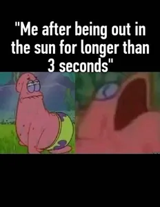 Newskitty's Photo Newskitty's Photo