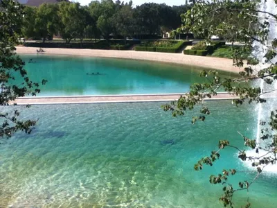 RoseHeart's Photo RoseHeart's Photo