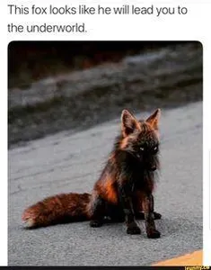 ravenspirit892's Photo ravenspirit892's Photo