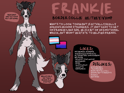 my fursona, frankie's, new ref sheet :)