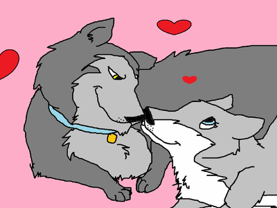 Wolfie X Lily