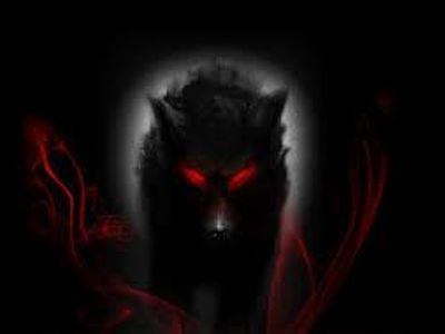 DarkWolf123