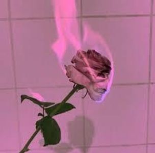 BurningRose