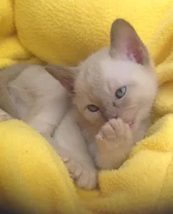 Rawr2002's Photo Rawr2002's Photo