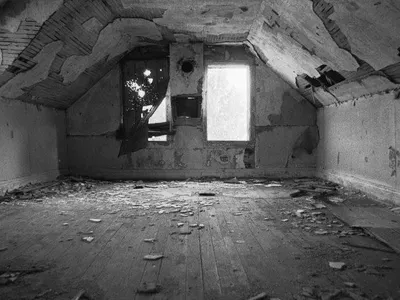 vive_la_revolution's Photo vive_la_revolution's Photo