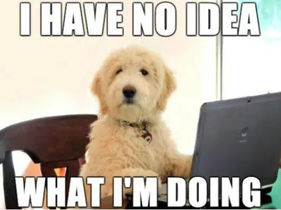 All_hail_Melon_King's Photo All_hail_Melon_King's Photo