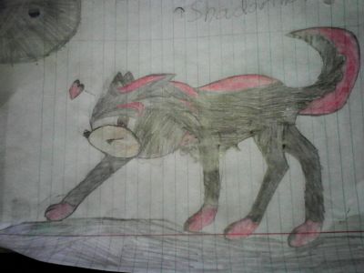 shadow the wolf X3 HE MINE PET WOLF!!