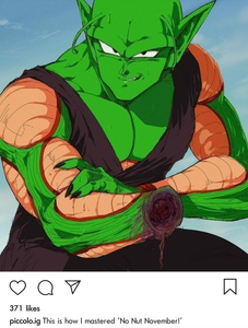 piccolo what the fuckk