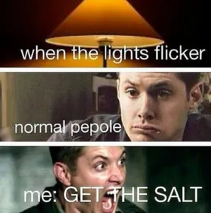 SugarPlum's Photo SugarPlum's Photo