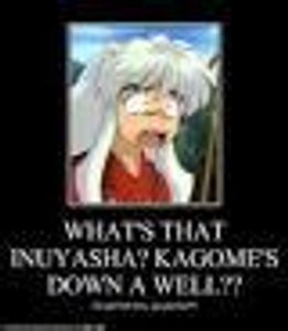 Says: What's that Inuyasha? Kagome's down a well? Go get her, boy! Go get her!