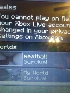 My brother named a world meatball