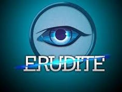 Erudite143