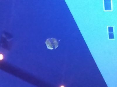 Their a balloon flying inside the Auditorium