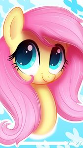 Fluttershy1503