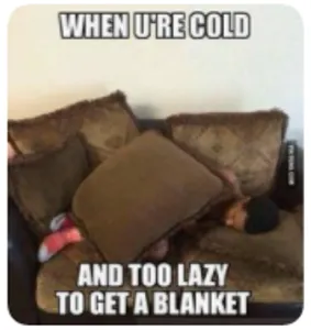 AceyPuppy's Photo AceyPuppy's Photo