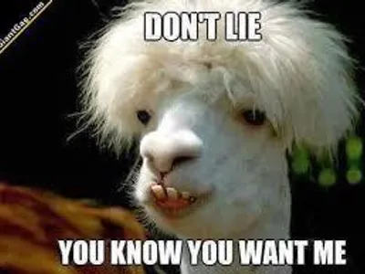 Army_girl19's Photo Army_girl19's Photo