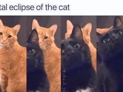 All_hail_Melon_King's Photo All_hail_Melon_King's Photo