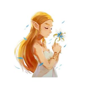 Zelda