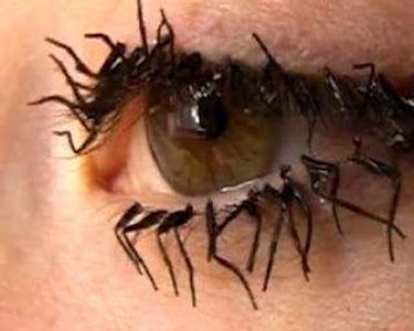 these are fly leg eyelashes