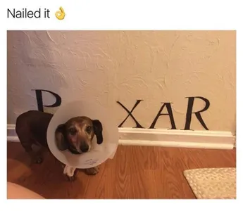 All_hail_Melon_King's Photo All_hail_Melon_King's Photo