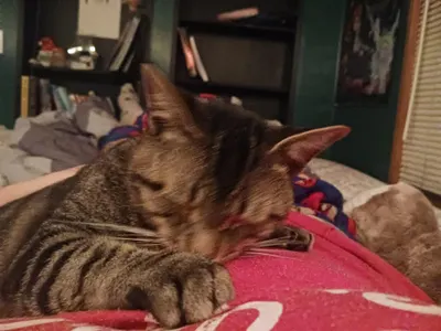 MrewHaHa's Photo MrewHaHa's Photo