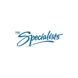 thespecialistsautotint