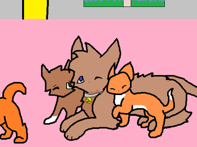 Orange, Mitten, Acorn, and Cream~ :3