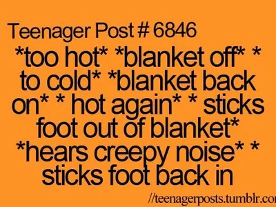 Newskitty's Photo Newskitty's Photo