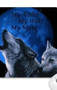 Tylove1924 Tylove1924