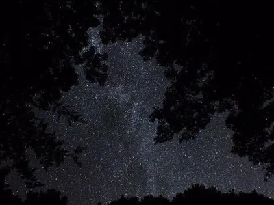 xXEmotionlessDepresstionXx's Photo xXEmotionlessDepresstionXx's Photo