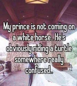 Noescaping's Photo Noescaping's Photo