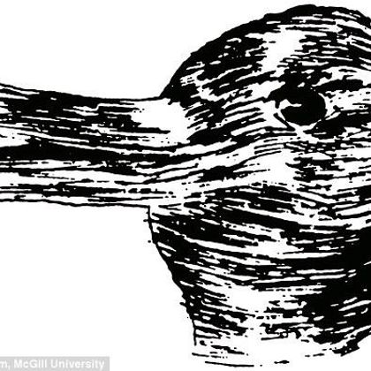 DUCK-RABBIT. You won't be able to see both pictures at the same time