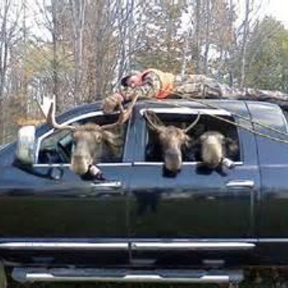 These people are f#cking drunk! They went to jail. Beer was in use here, so was moose heads.