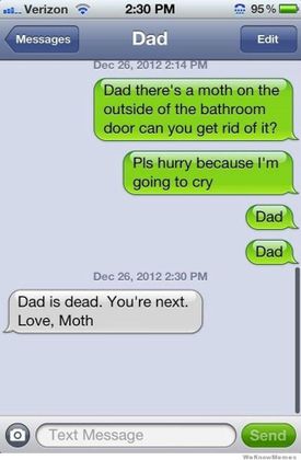 Omg... Moths are gonna kill us all!!!