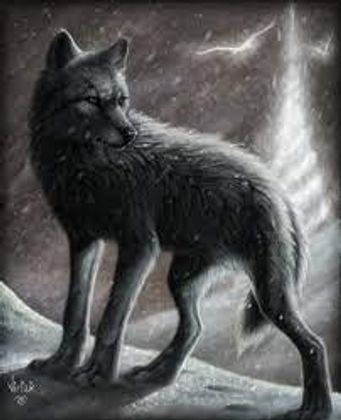 Eclipse(Core's pet wolf)