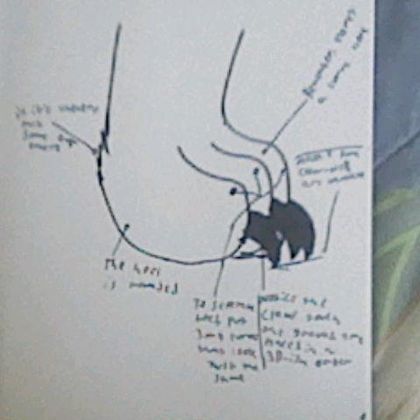 Diagram on How to Draw Cartoon cat Paws