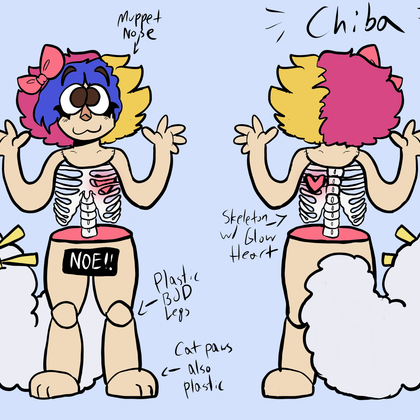 anatomy of chiba 1