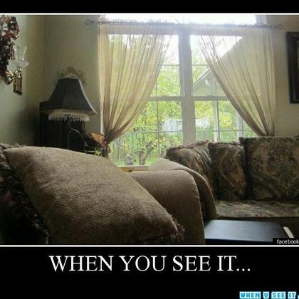 Look behind the cushion on the left of the picture... O.o